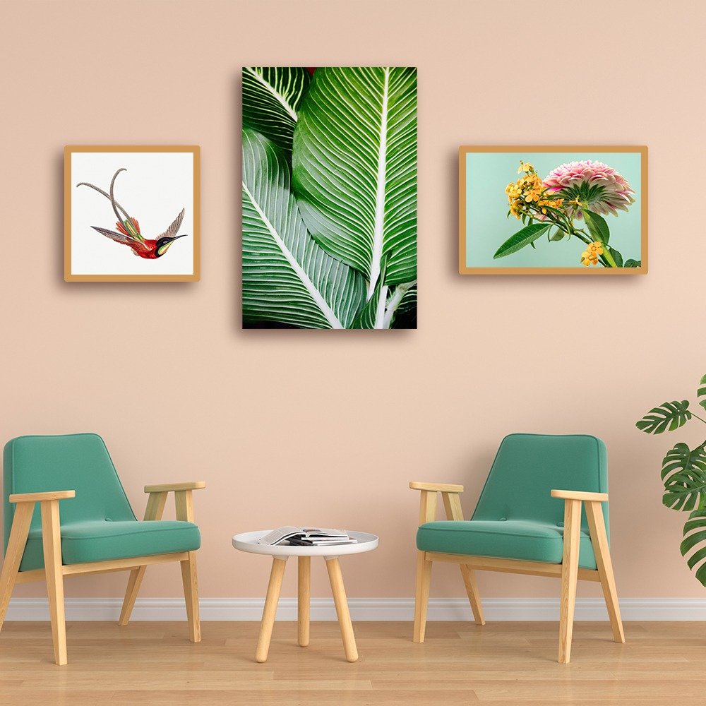 décoration dans salle d'attente