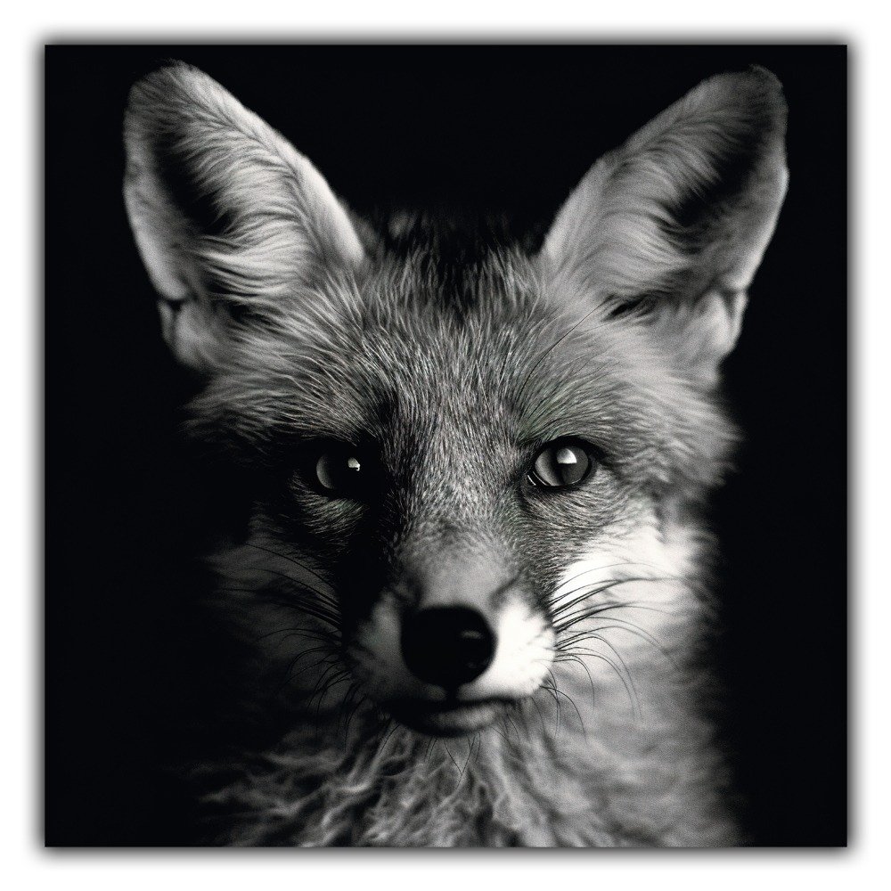 Black and White n°042