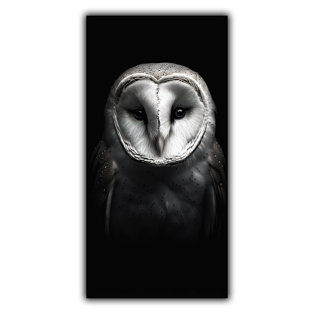 Black and White n°186