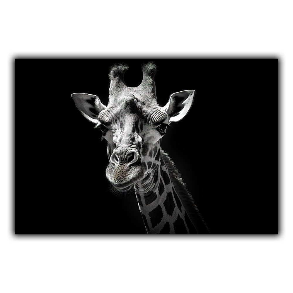 Black and White n°199