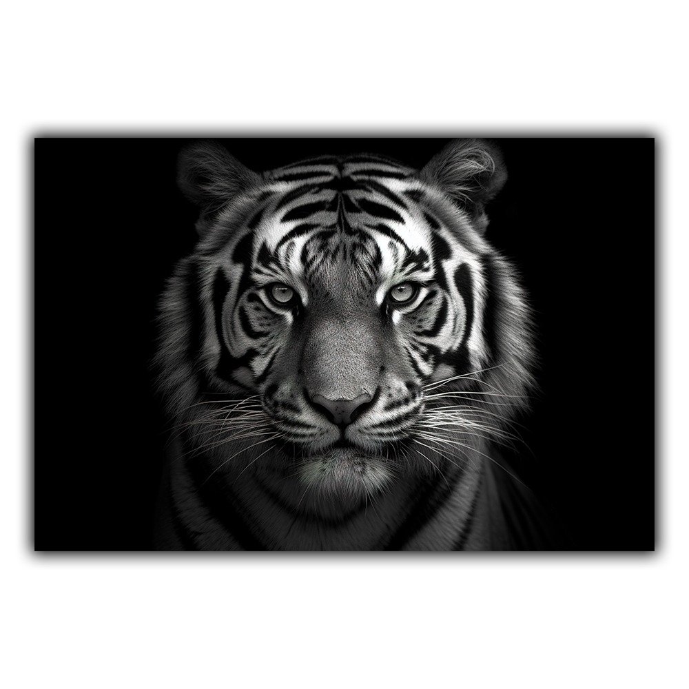 Black and White n°211