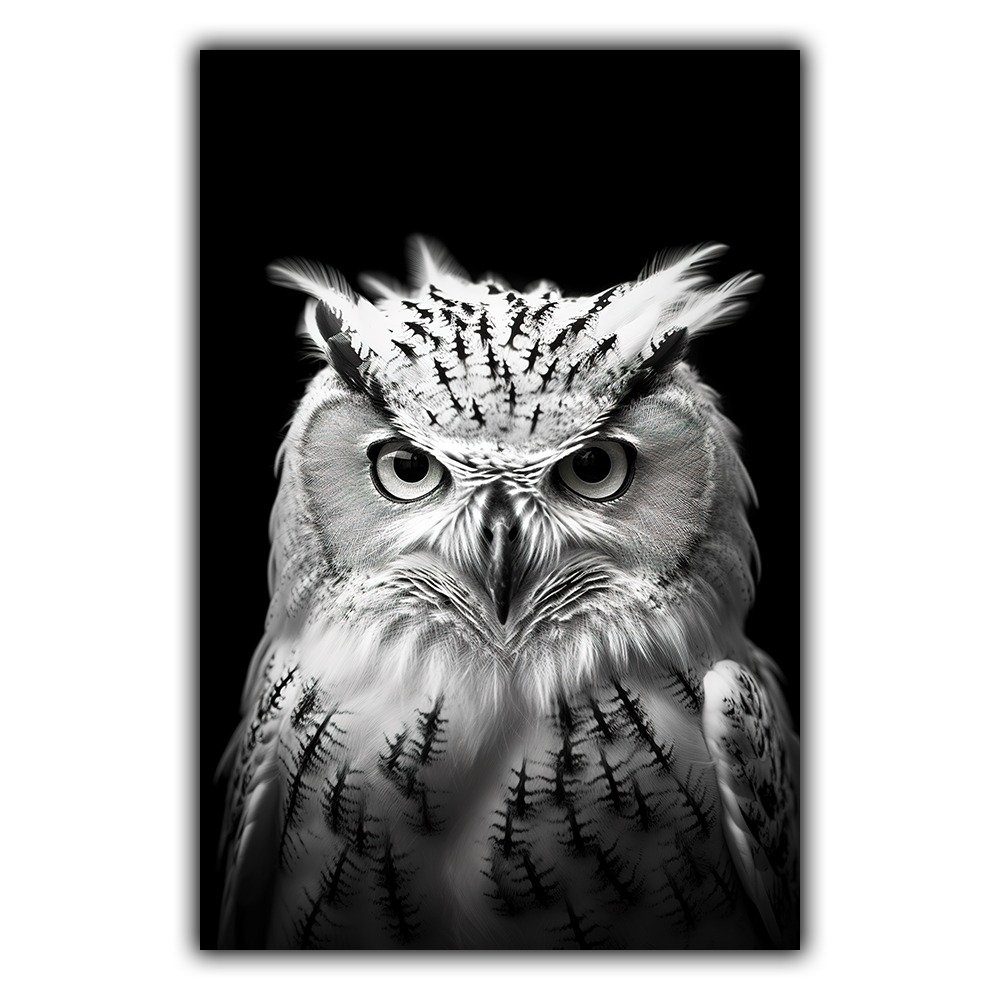 Black and White n°215