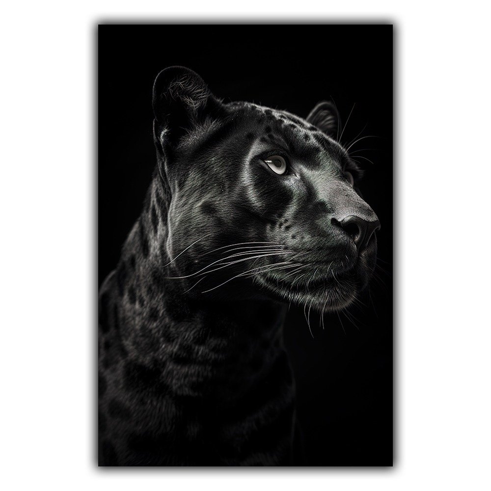 Black and White n°245