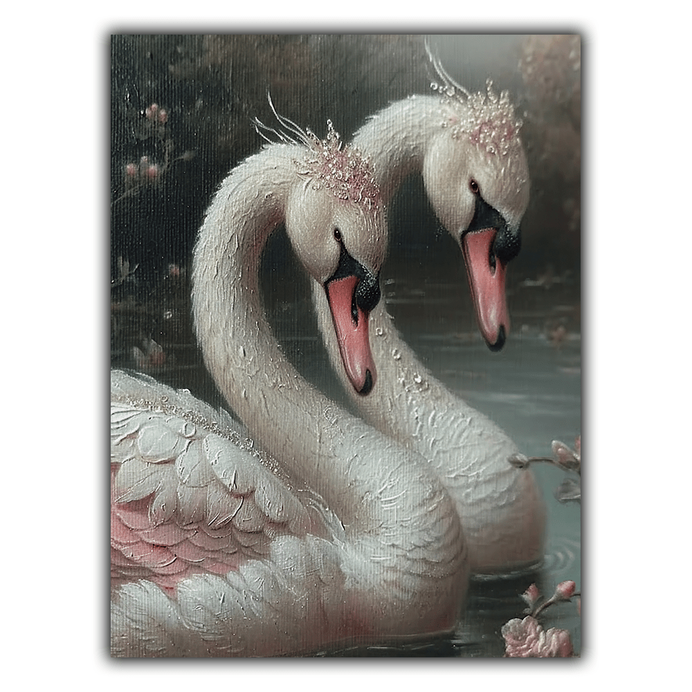 Coquette N°020