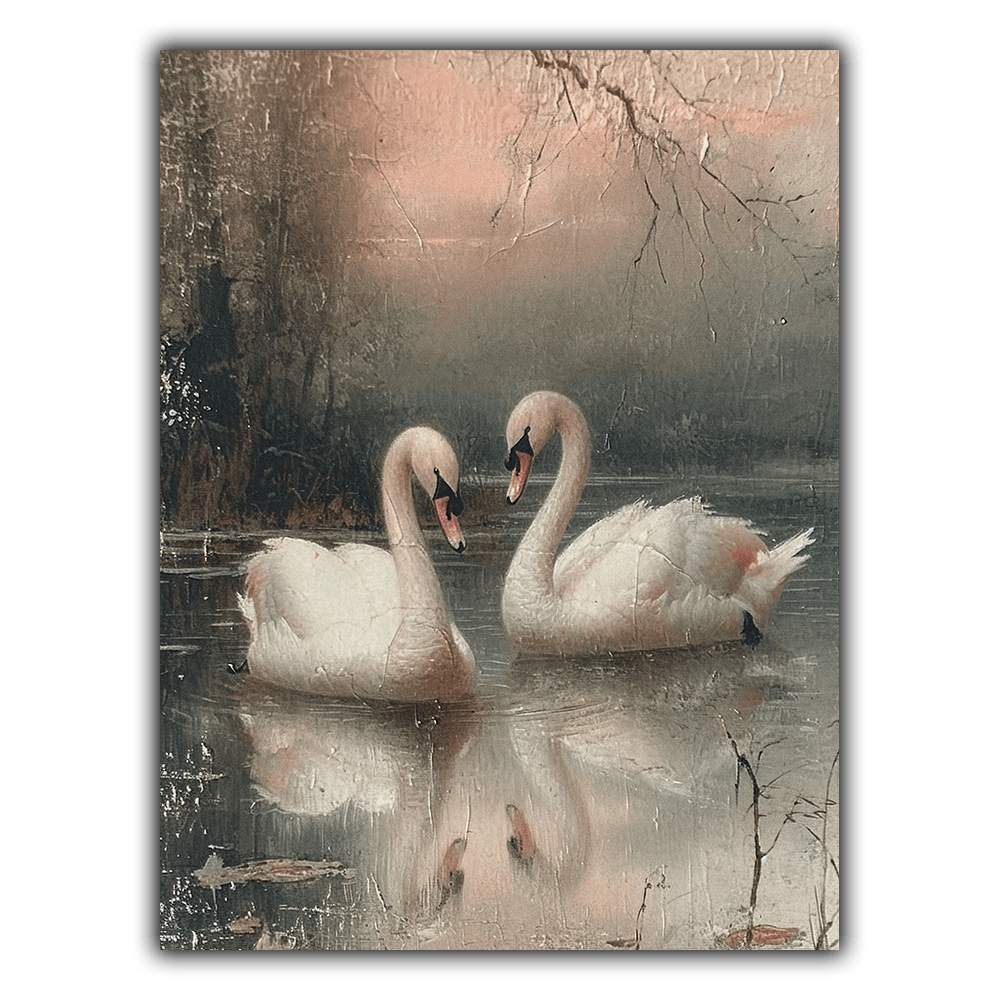Coquette N°054