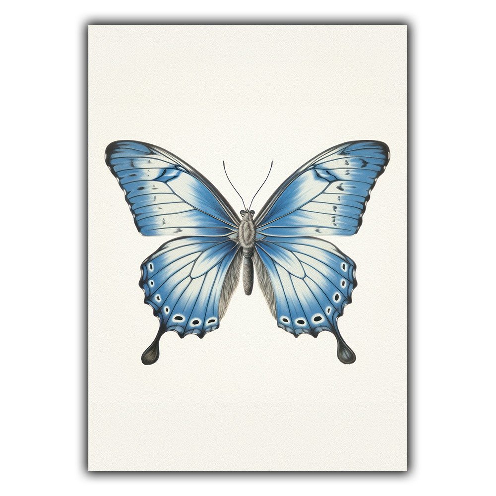 Illustrations d'Animaux N°028