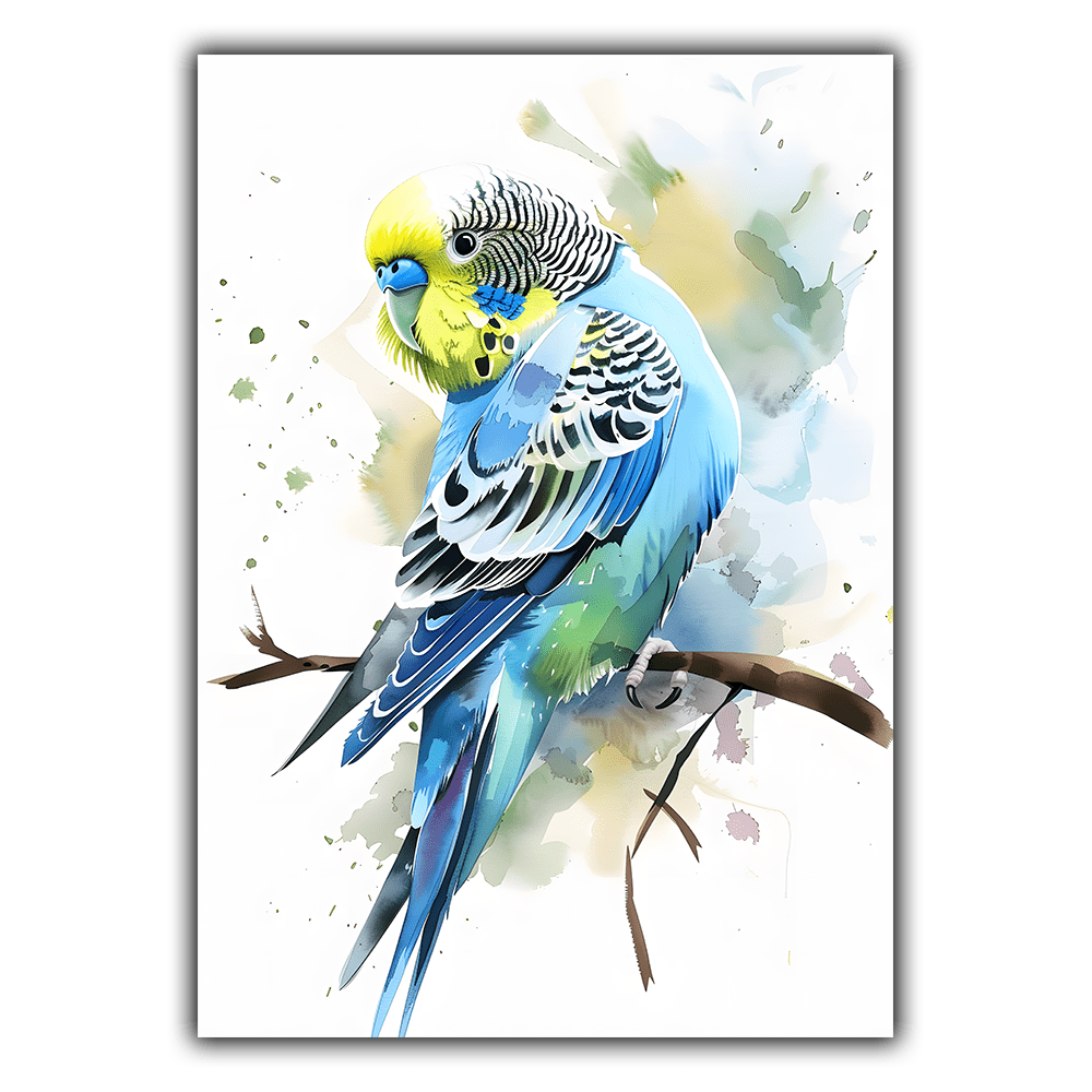 Illustrations d'Animaux N°065
