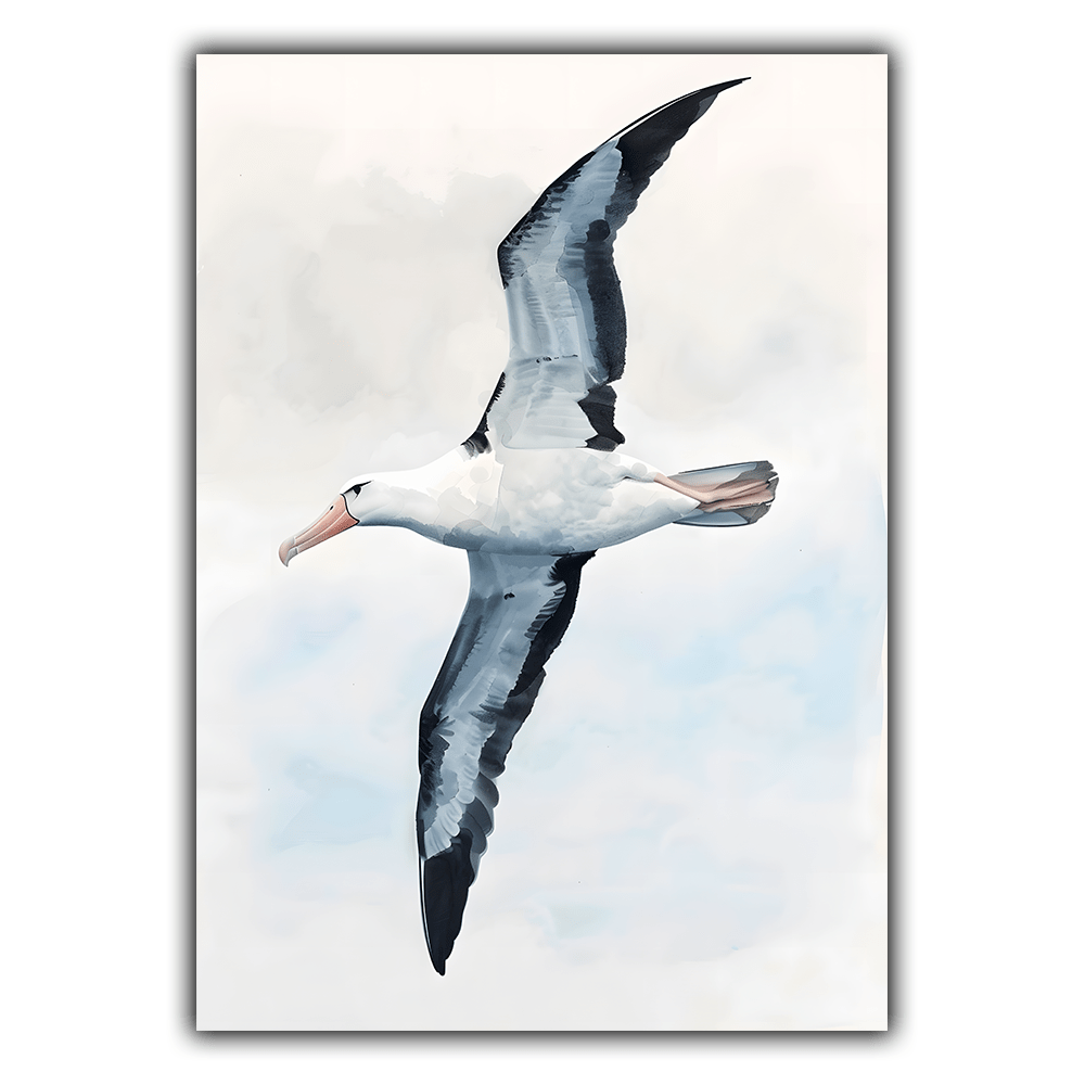 Illustrations d'Animaux N°071