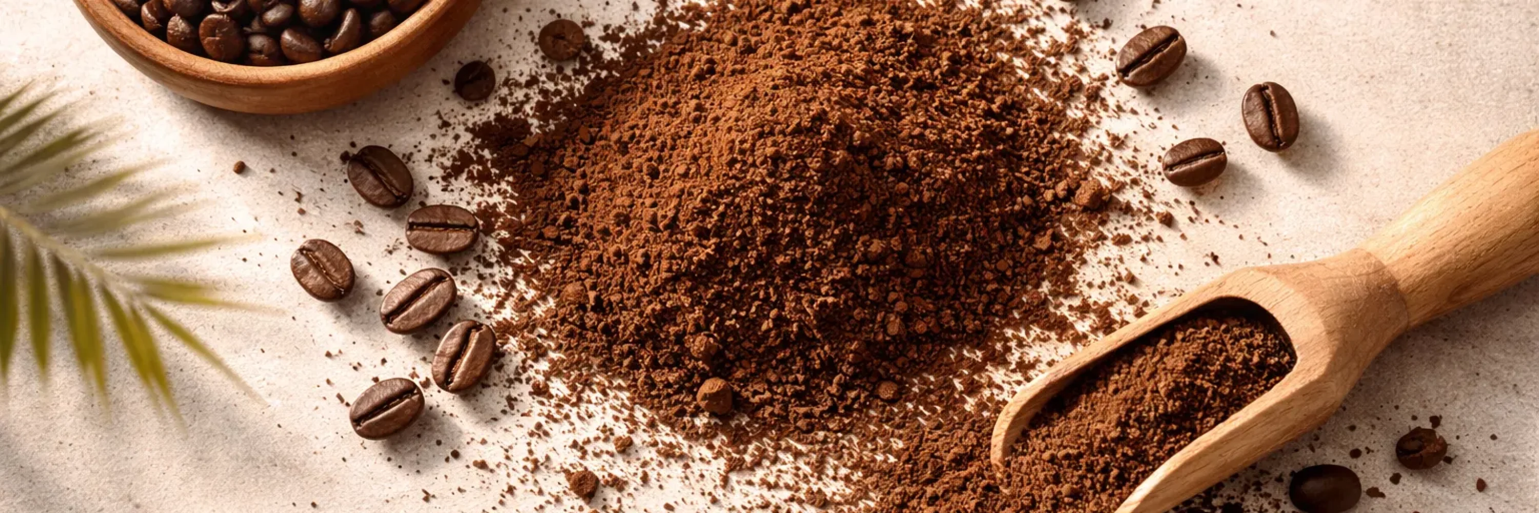 ingredients cafe bio rare du bresil filtre 250g catt landa copie